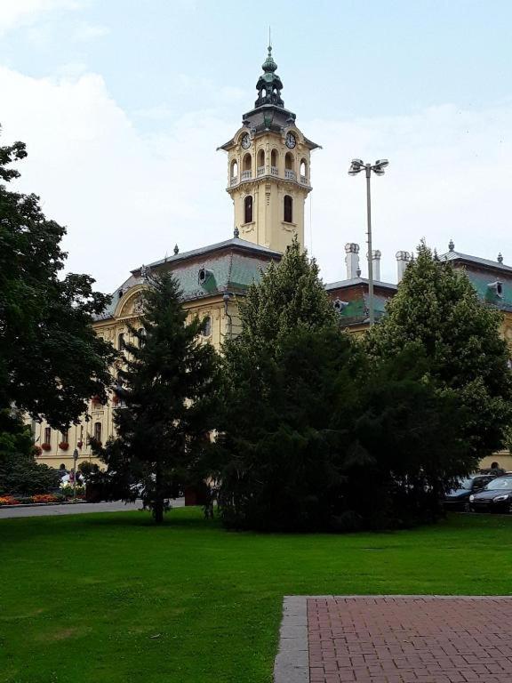 Tomka Apartman سيغيد المظهر الخارجي الصورة